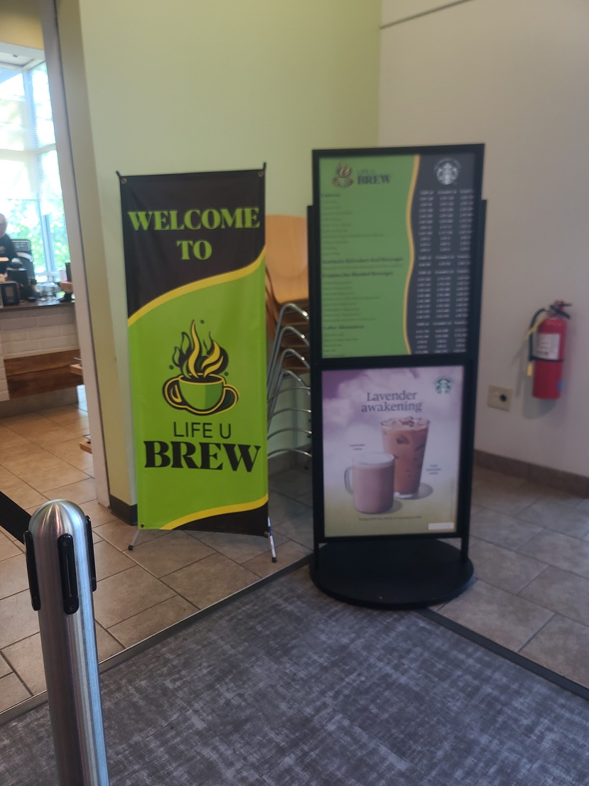 Life U Brew interior