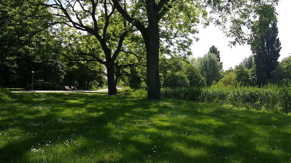 Photo of Grand Cafe Noorderpark