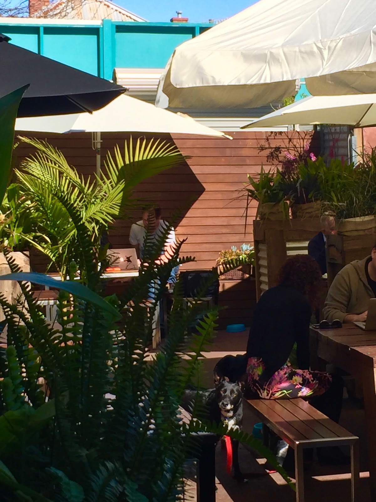 Cafe Azul interior