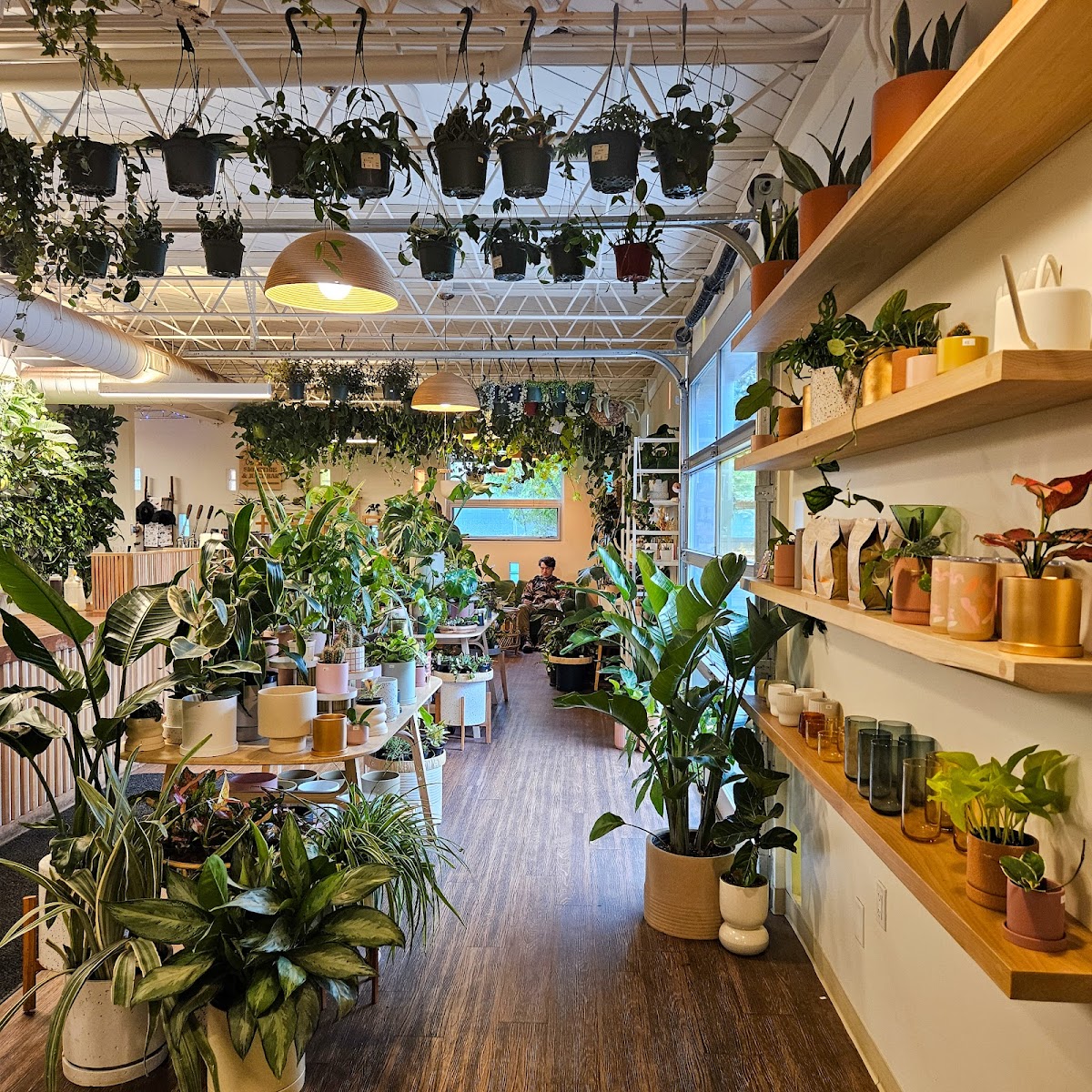 Photo of That Feeling Co