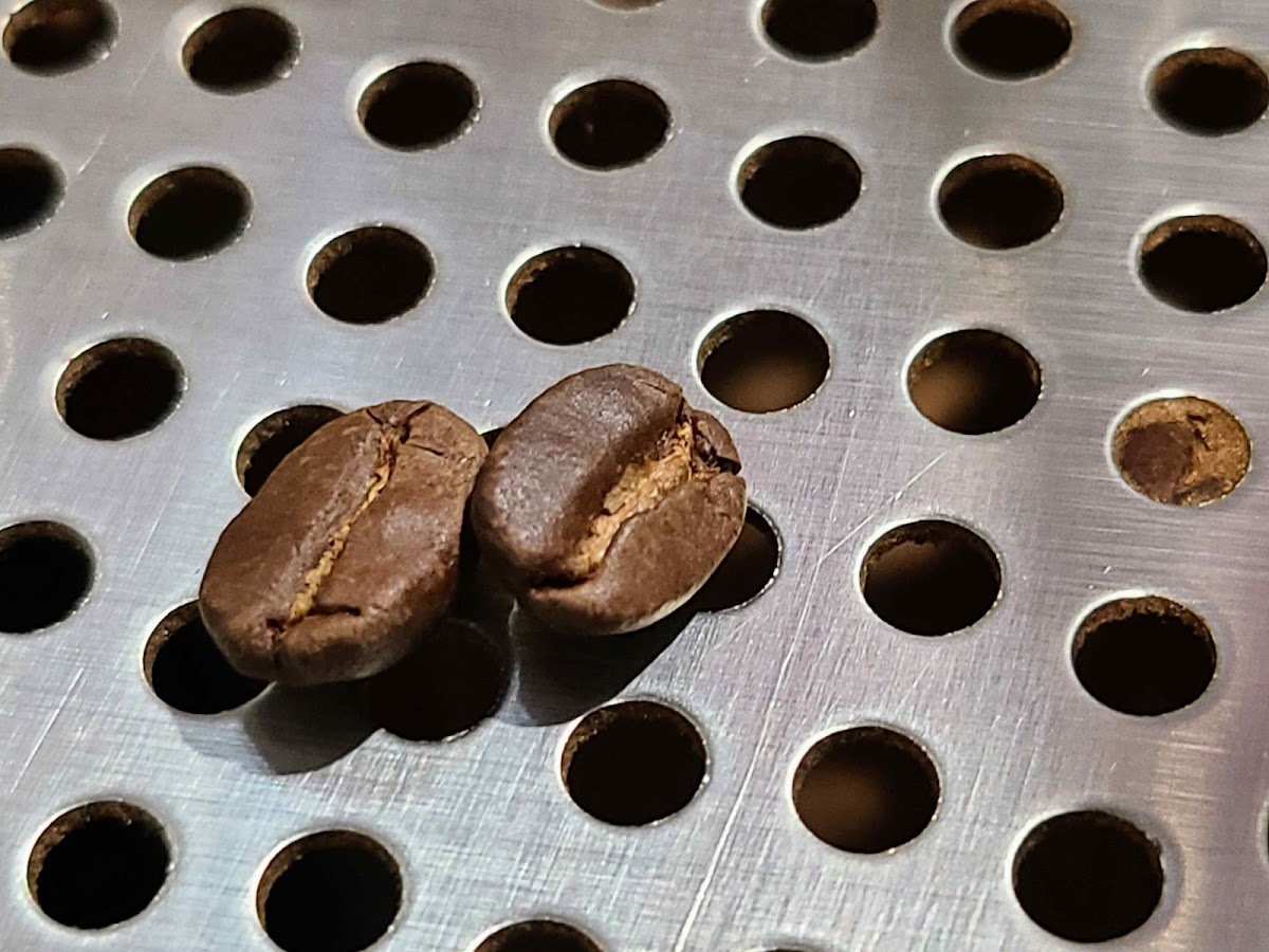 Photo of Caffe D'Bolla