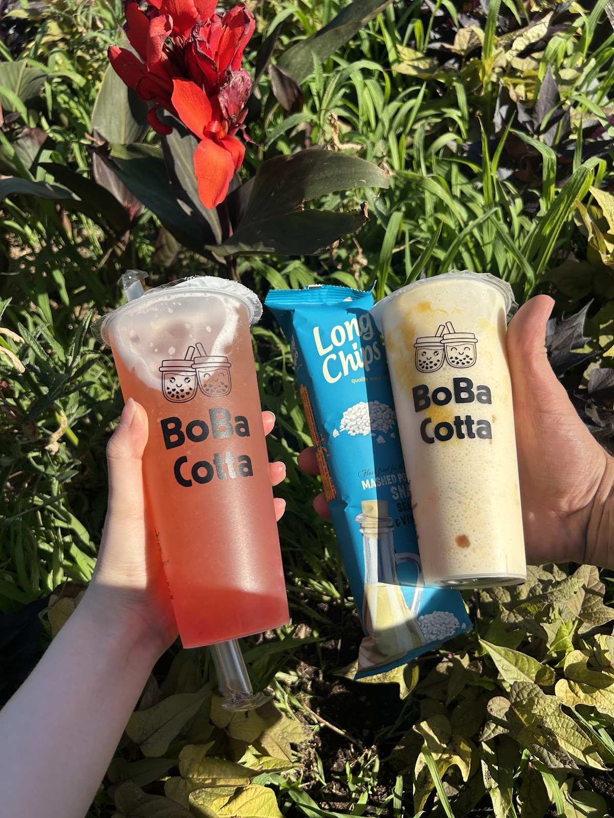 Photo of Boba Cotta