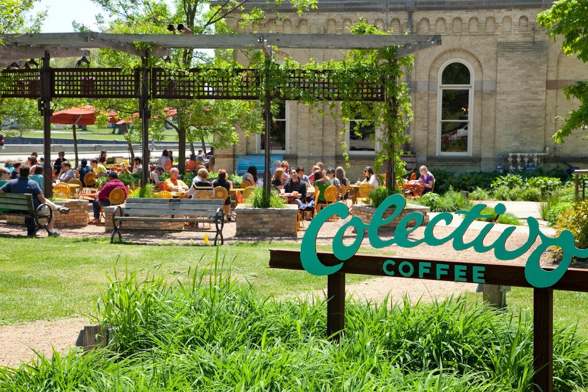 Photo of Colectivo Coffee on the Lakefront