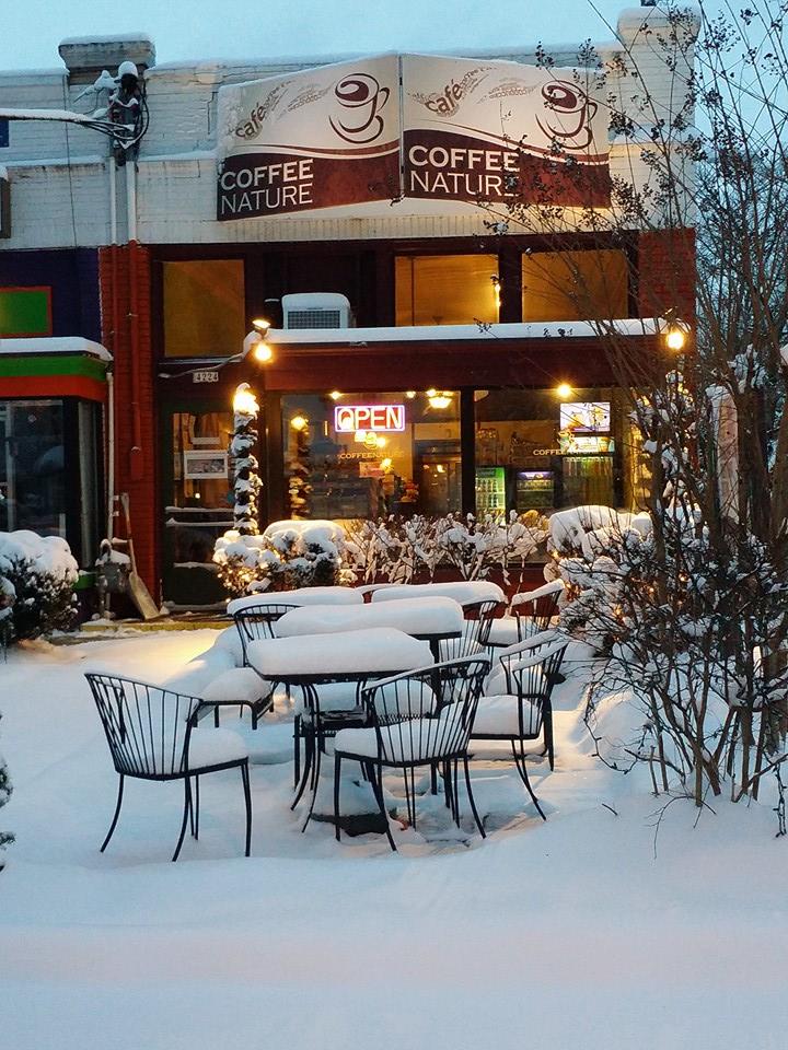 Coffee Nature interior