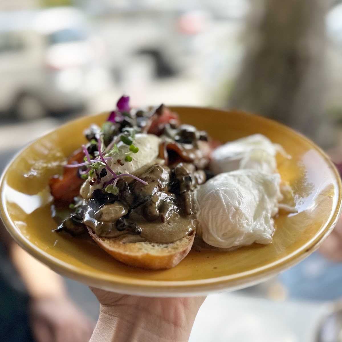 Photo of Goodness Cafe : Jervois Road