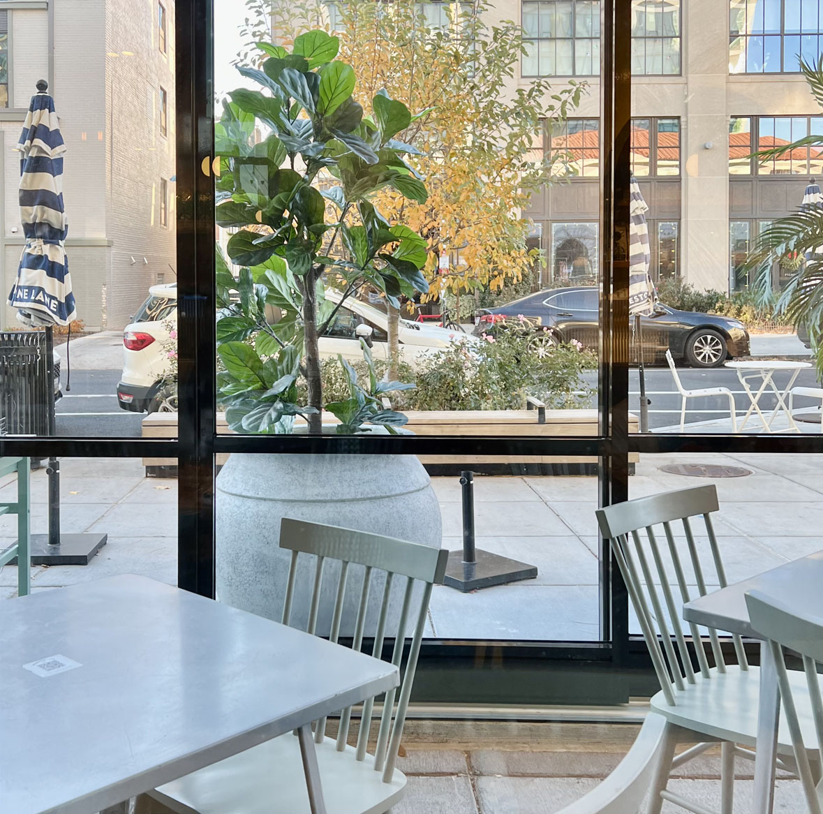 Bluestone Lane Logan Circle Café interior