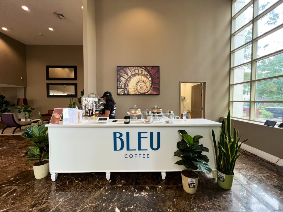 Bleu Coffee interior