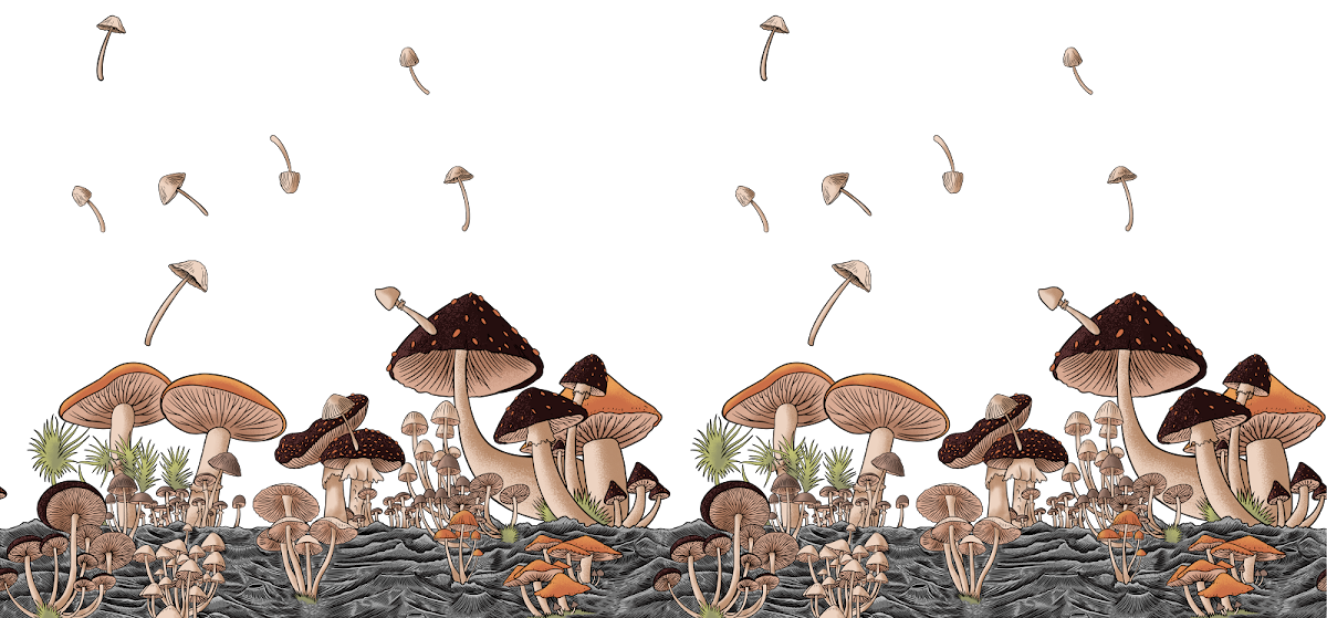Photo of Simply Shroom Cafe