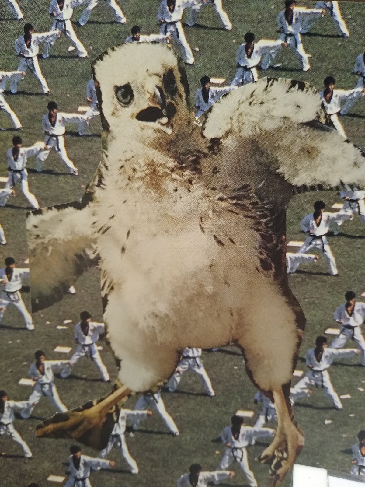 Photo of The Human Coop