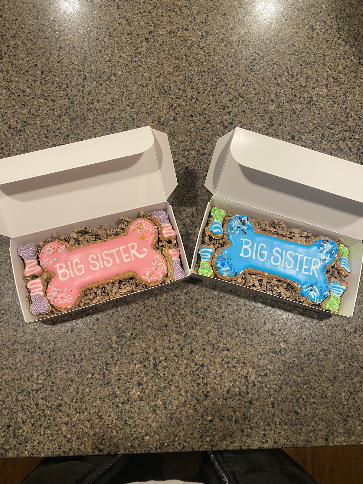 Brixtix Bakery for Dogs interior