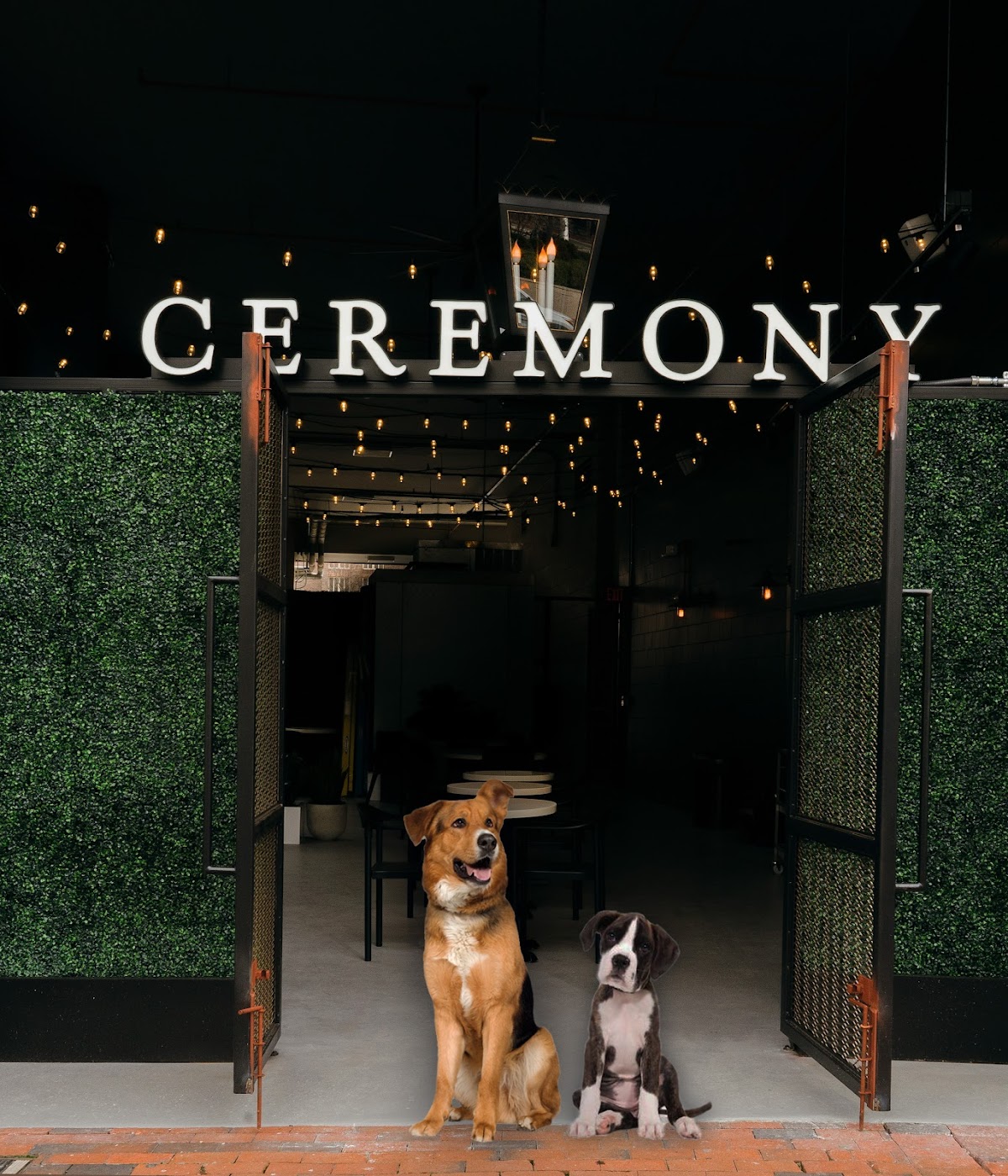 Photo of Ceremony Coffee Bethesda Crescent