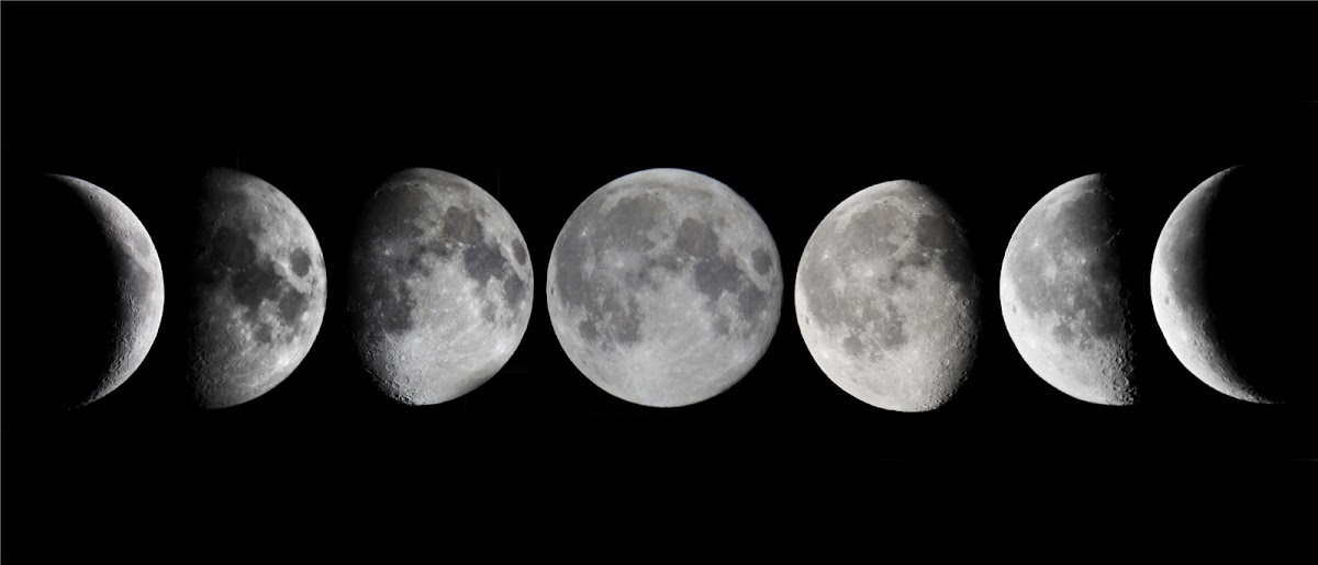 Photo of La Lune de Cocó