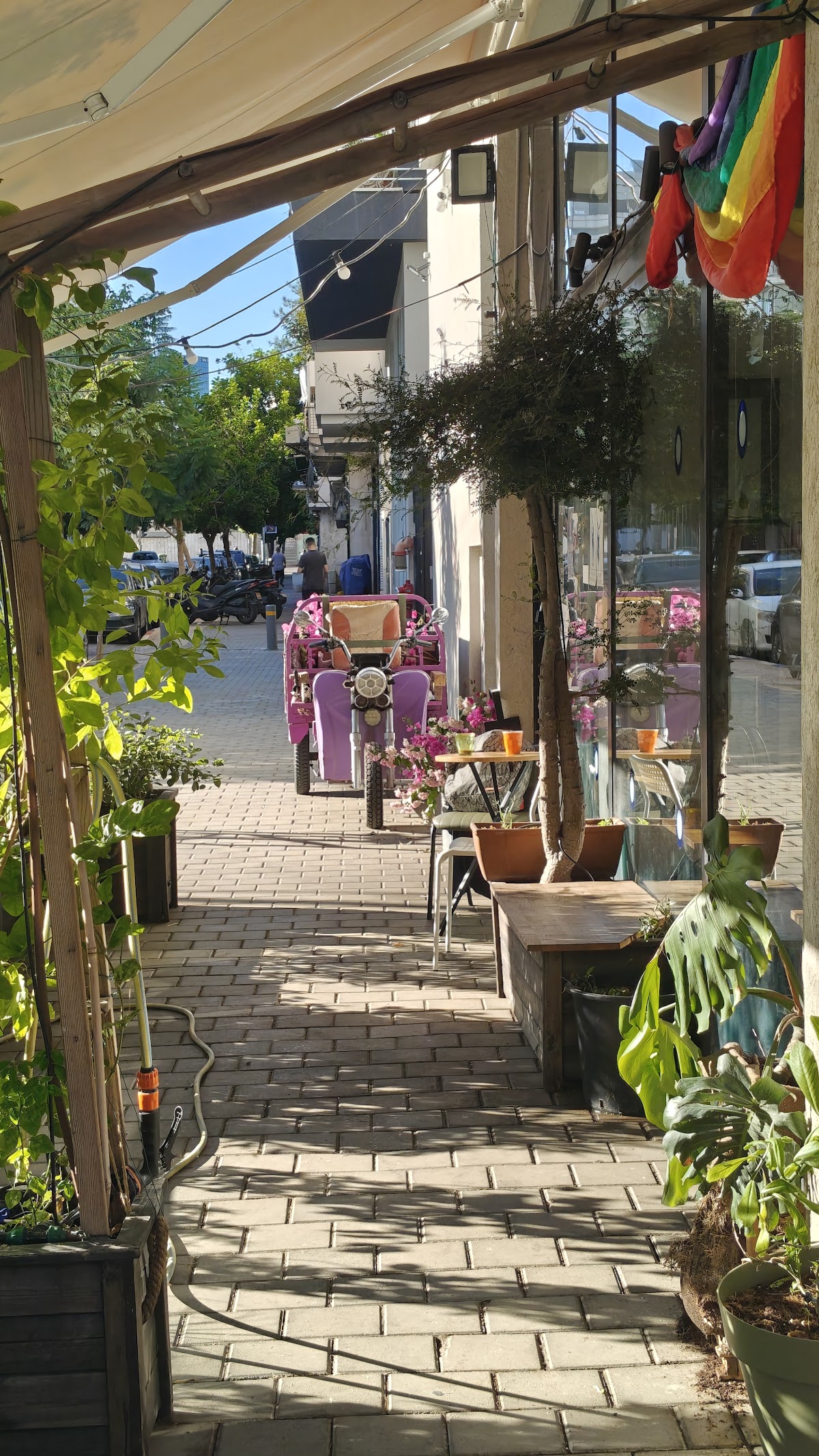 Cafe Zohar interior