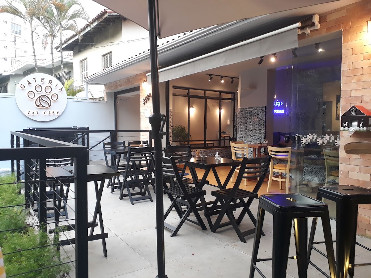 Gateria Cat Cafe interior