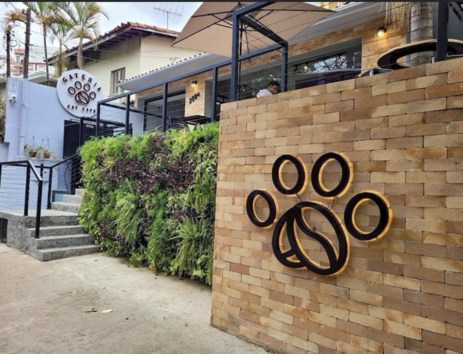 Photo of Gateria Cat Cafe