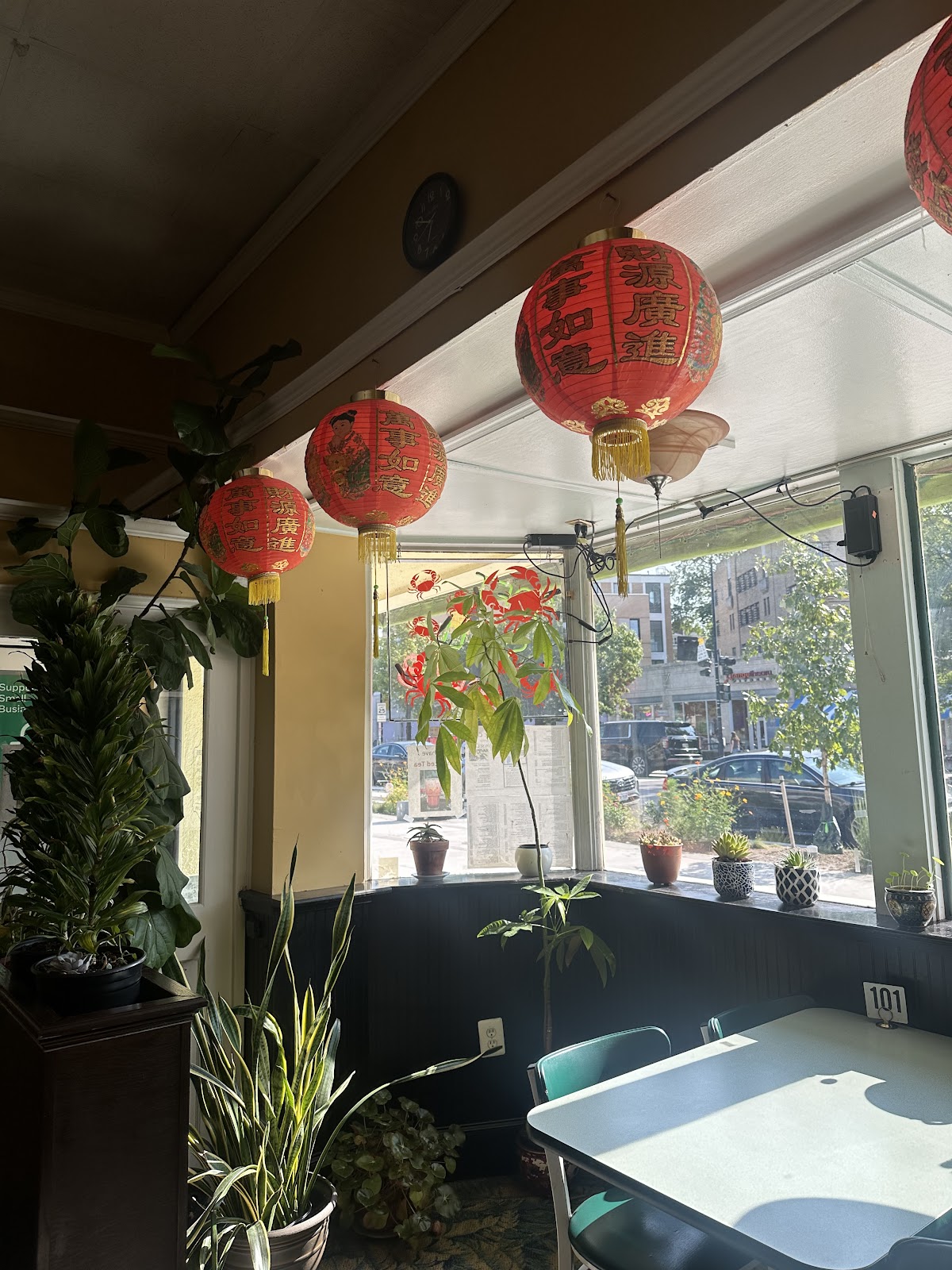 Mr Chens Organic interior
