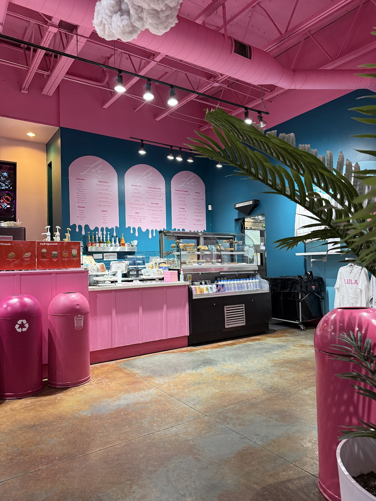Photo of Lula Coffee Co