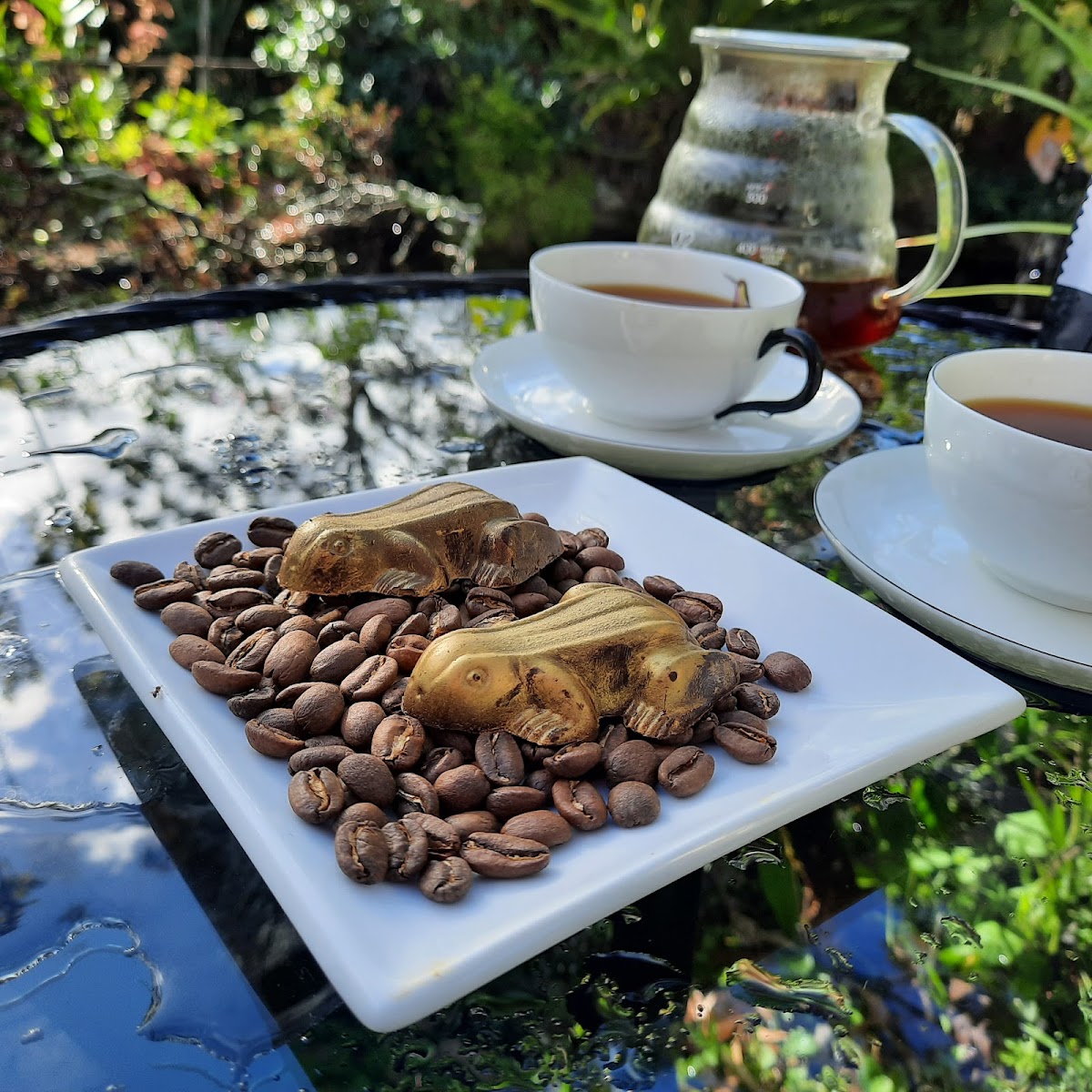 Photo of Colibrí café de especialidad de Panamá