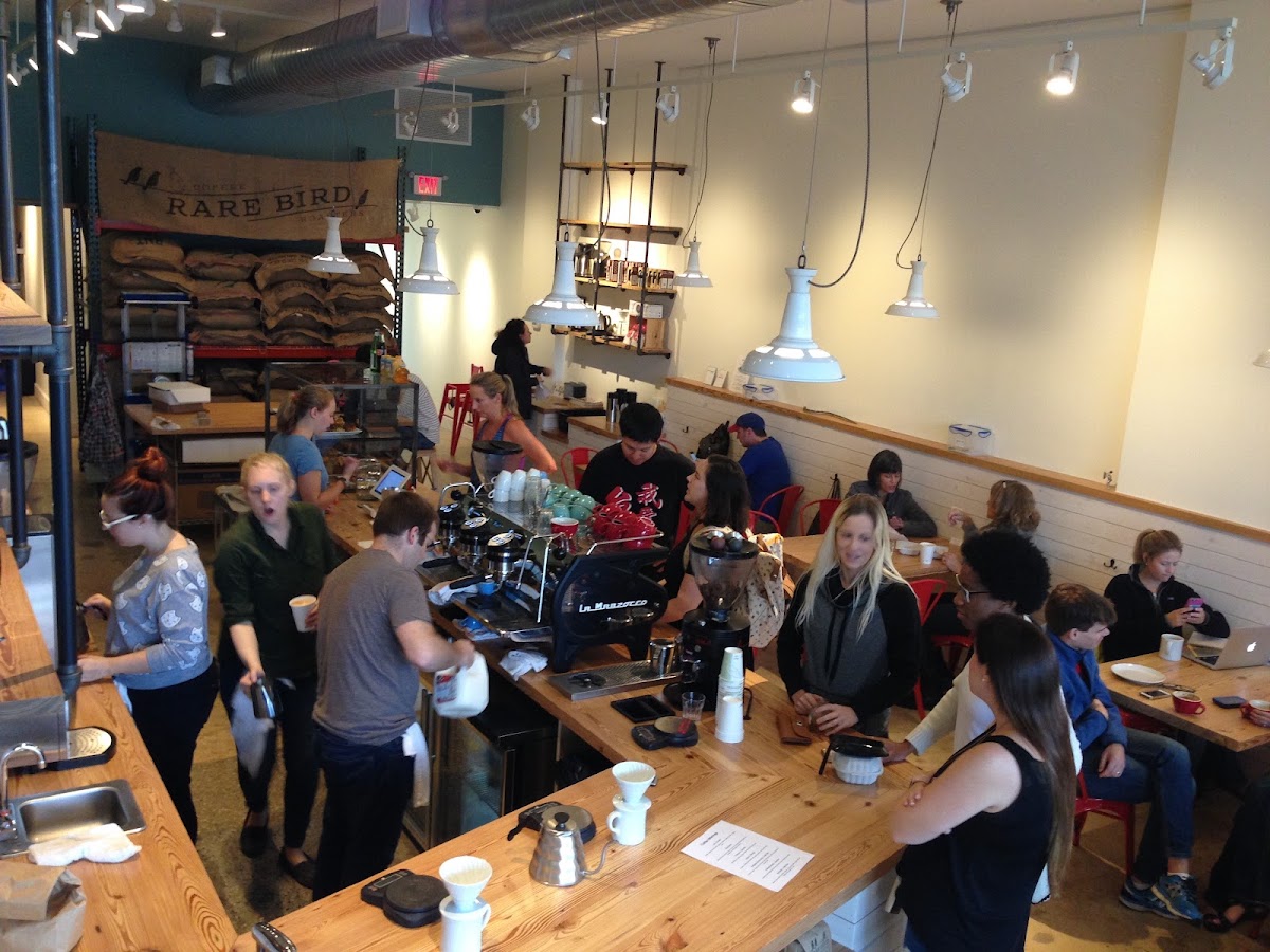 Rare Bird Coffee Roasters interior