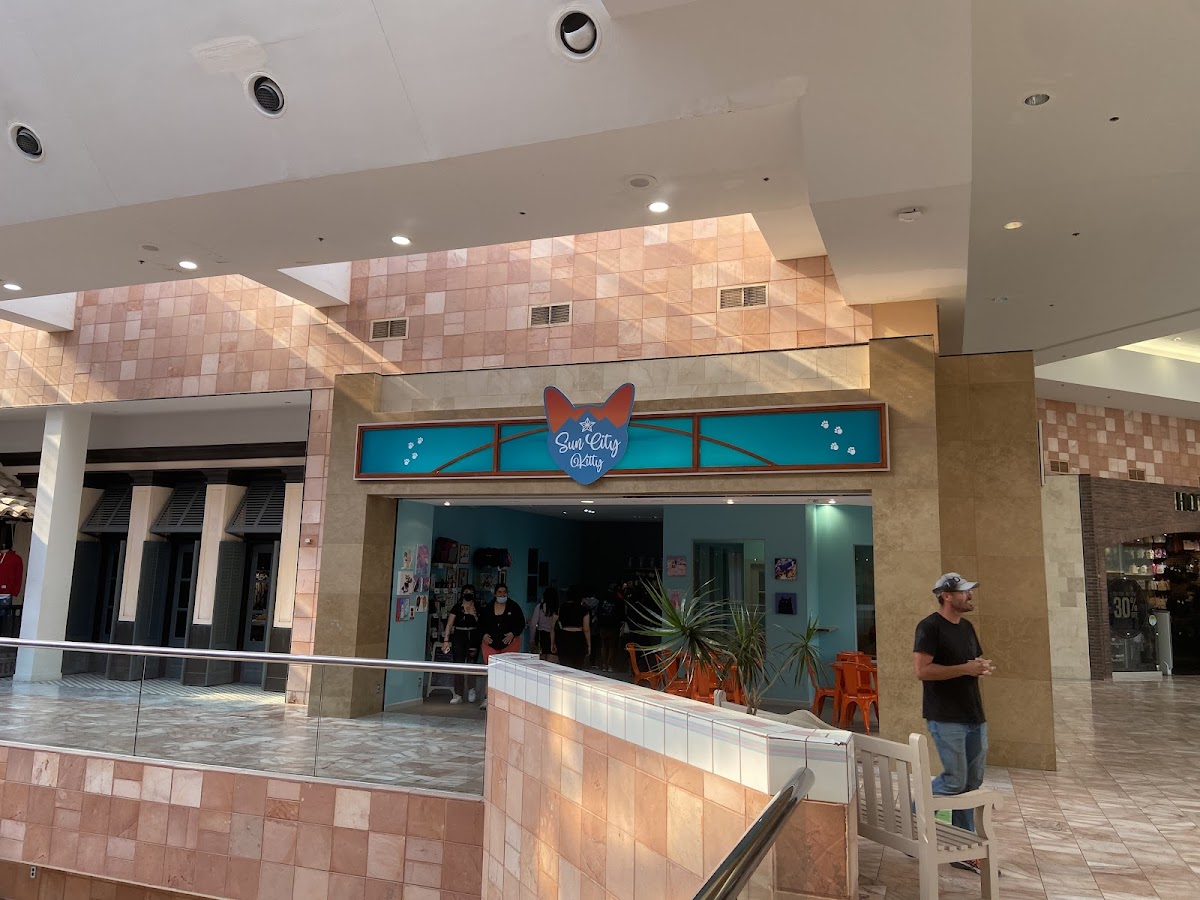Sun City Kitty interior