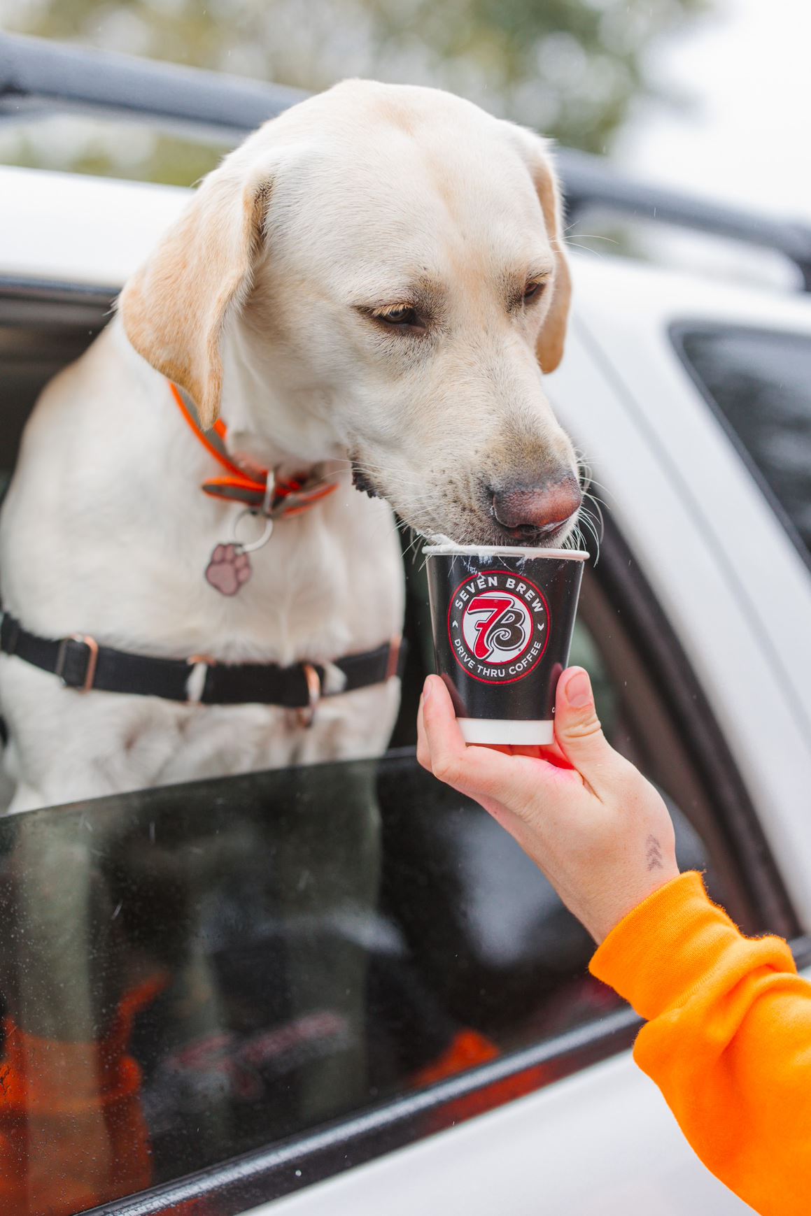 Photo of 7 Brew Coffee