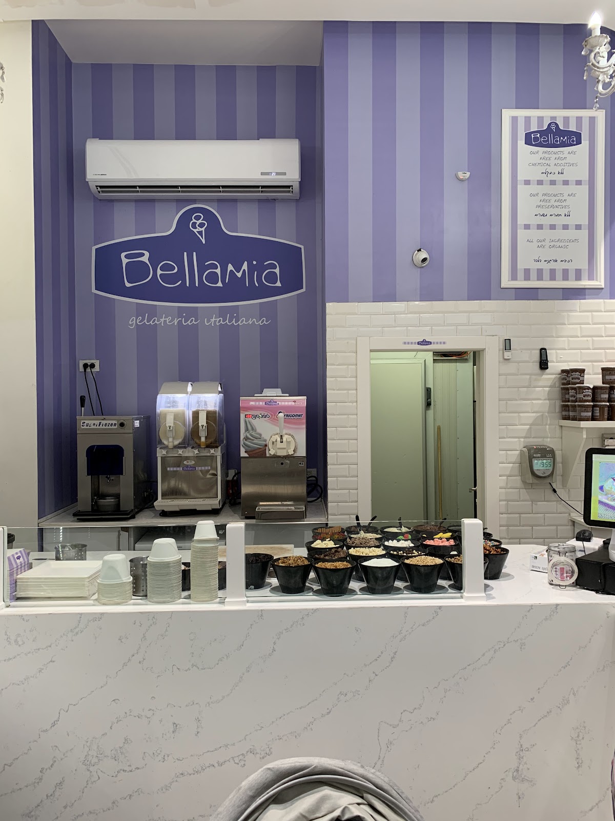 Photo of Bellamia