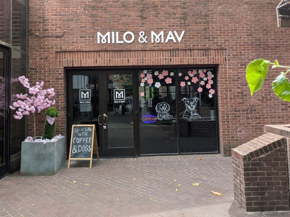 Milo & Mav Coffee Shop & Dog Boutique interior
