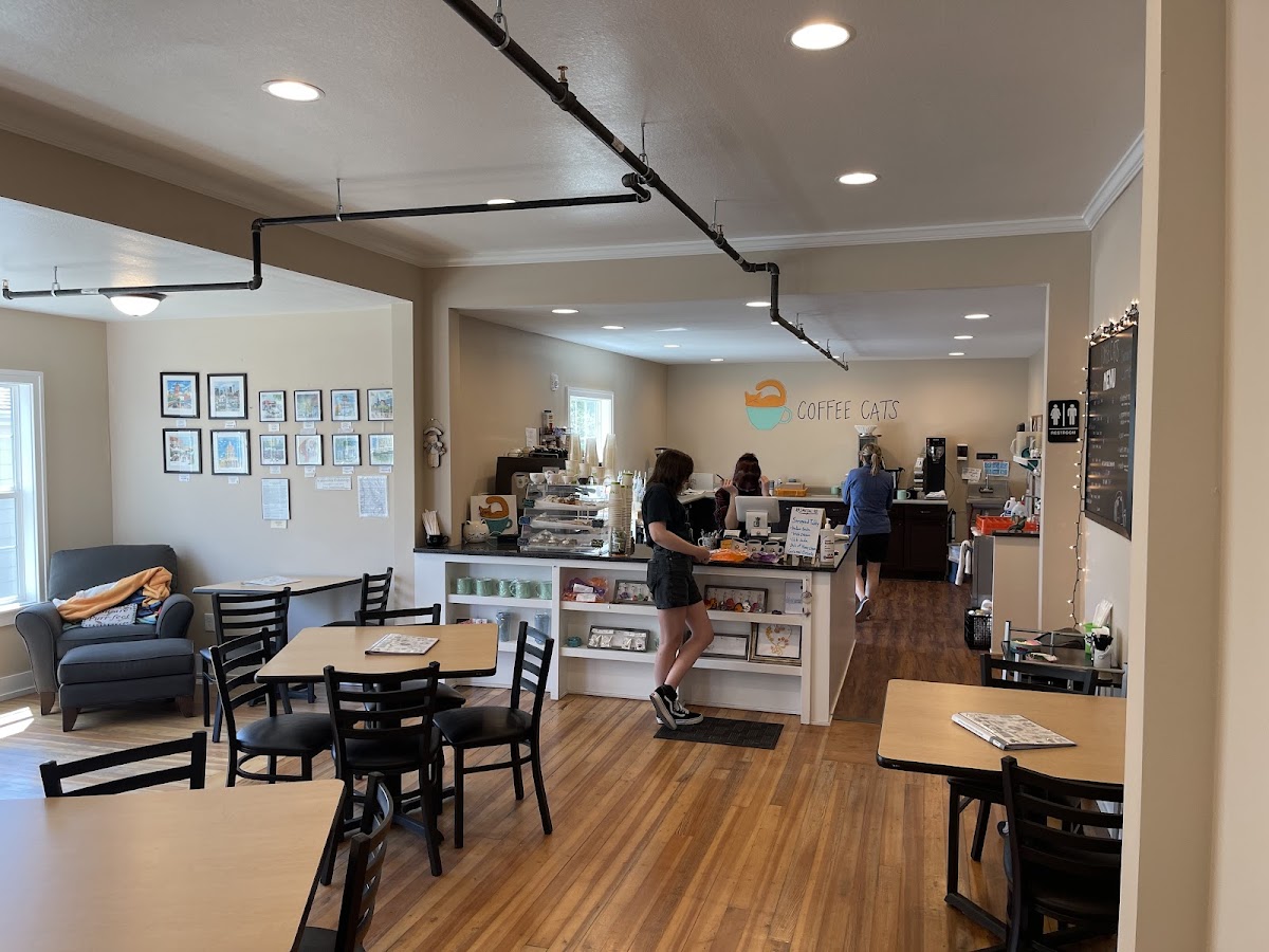 Coffee Cats Cafe interior
