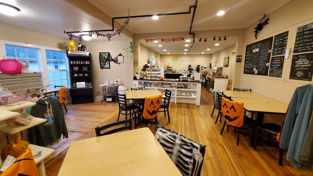 Photo of Coffee Cats Cafe