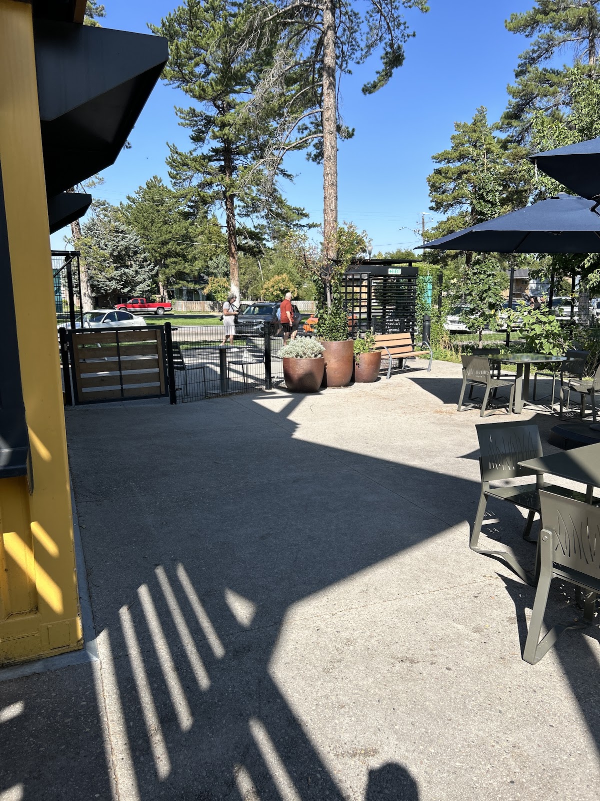 The Bird Feeder Café interior