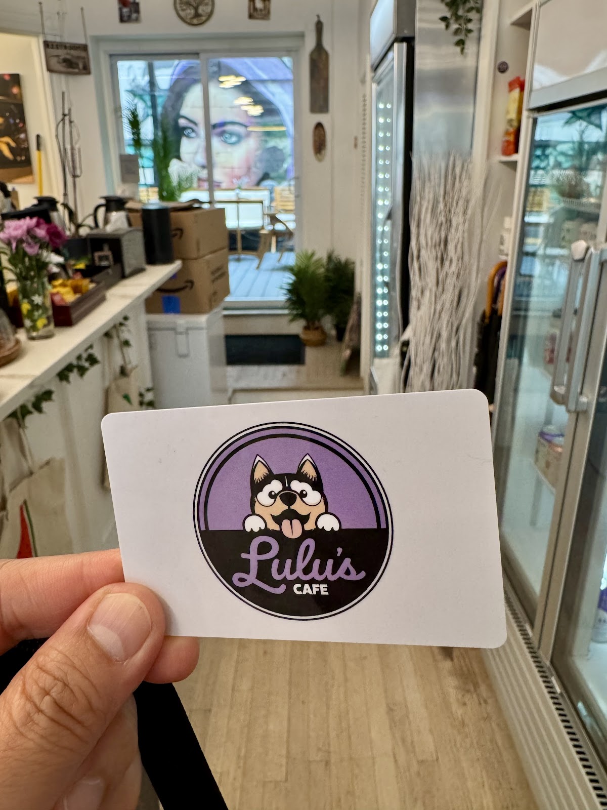 Photo of Lulu's Cafe