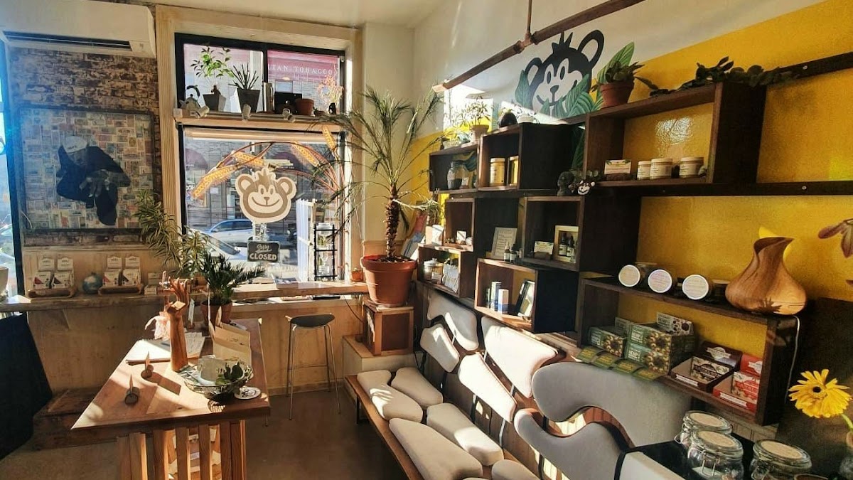 Muz Muz Shop and Cafe interior