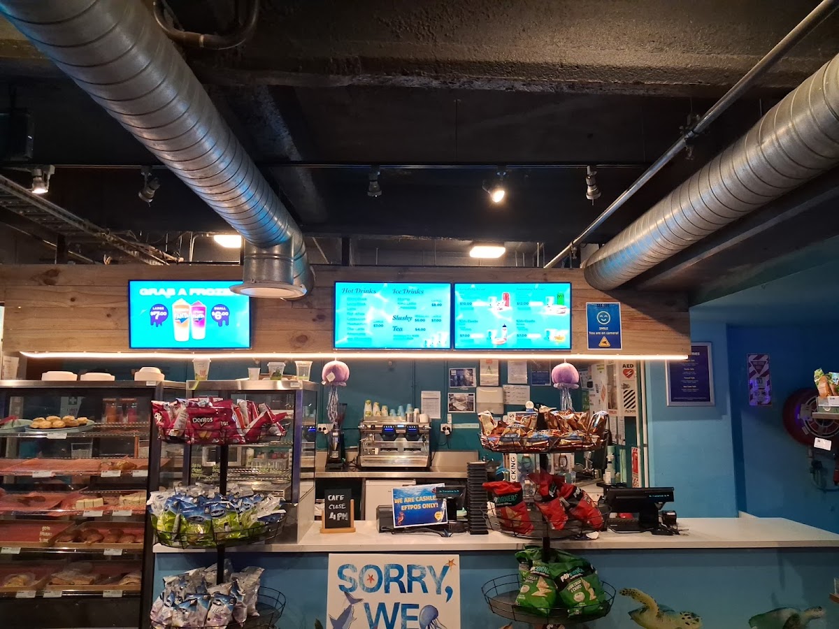 Turtle Bay Cafe interior