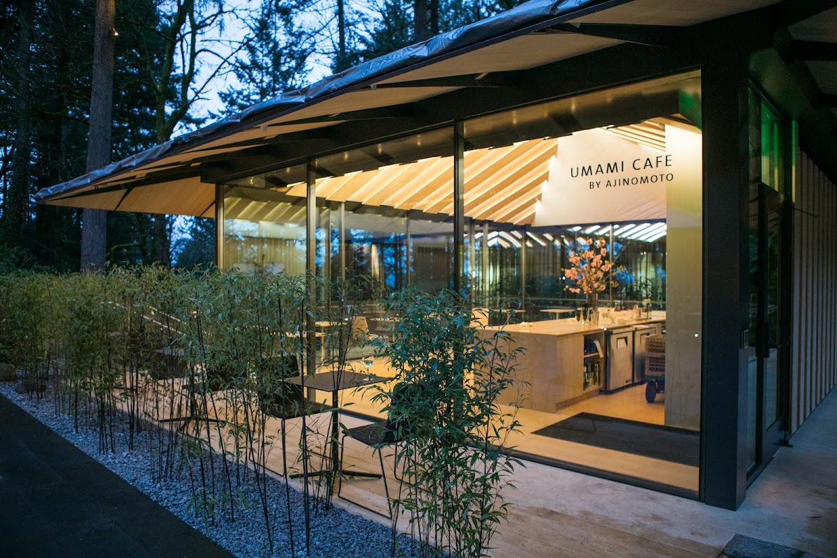 Umami Cafe interior