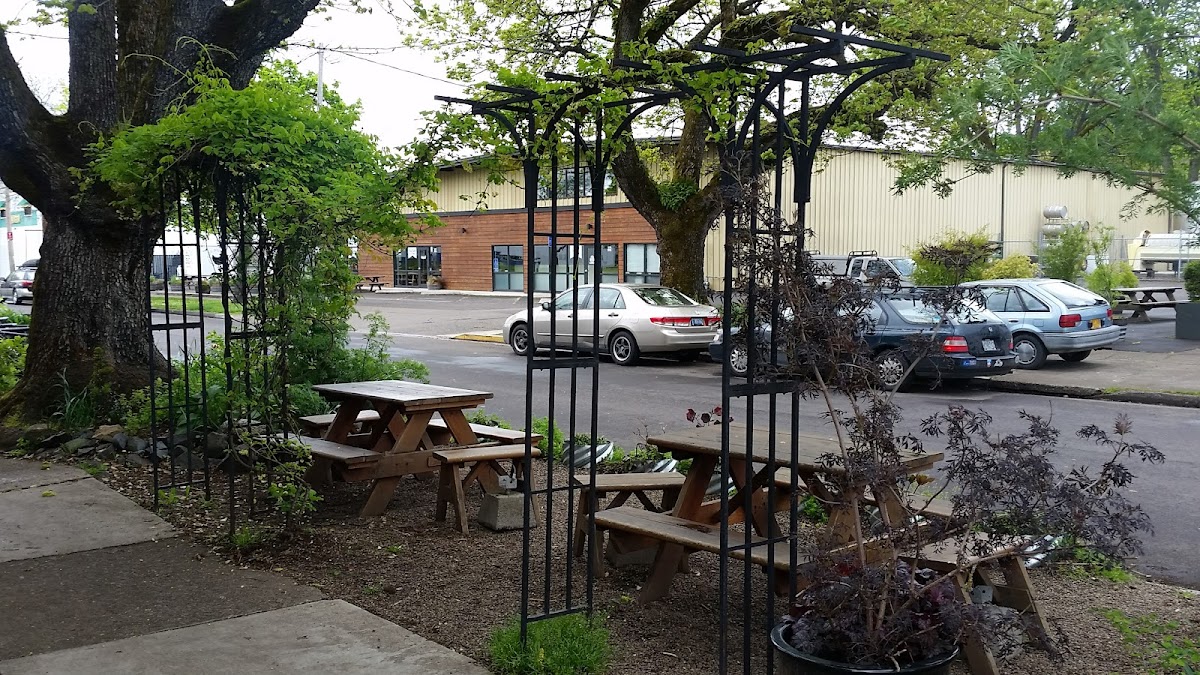 Wandering Goat Coffee Co. interior