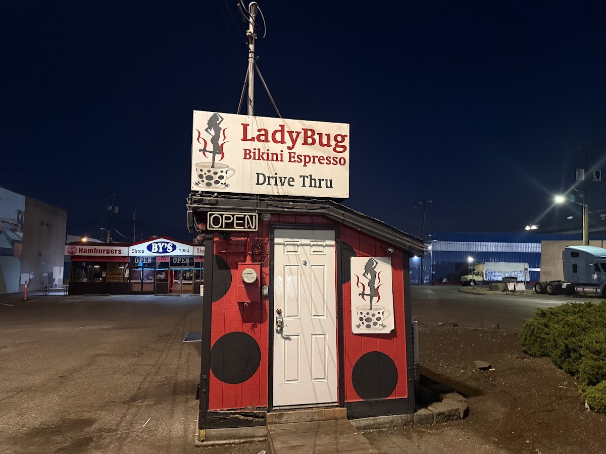 Ladybug Bikini Espresso interior