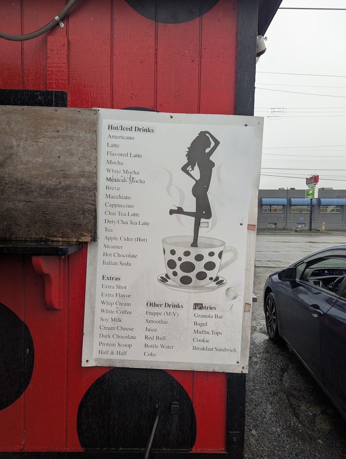Photo of Ladybug Bikini Espresso