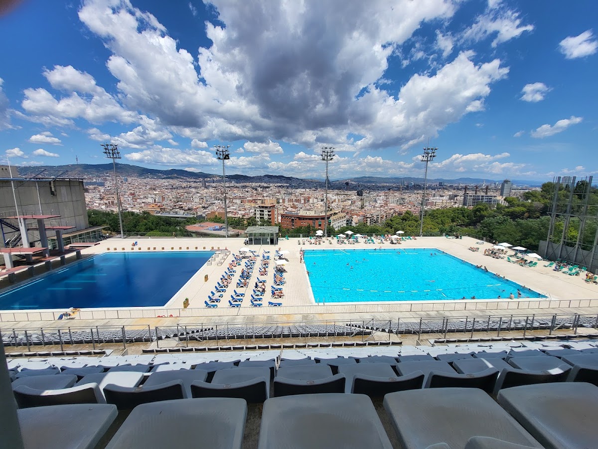 Photo of olympic diving pool barcelona