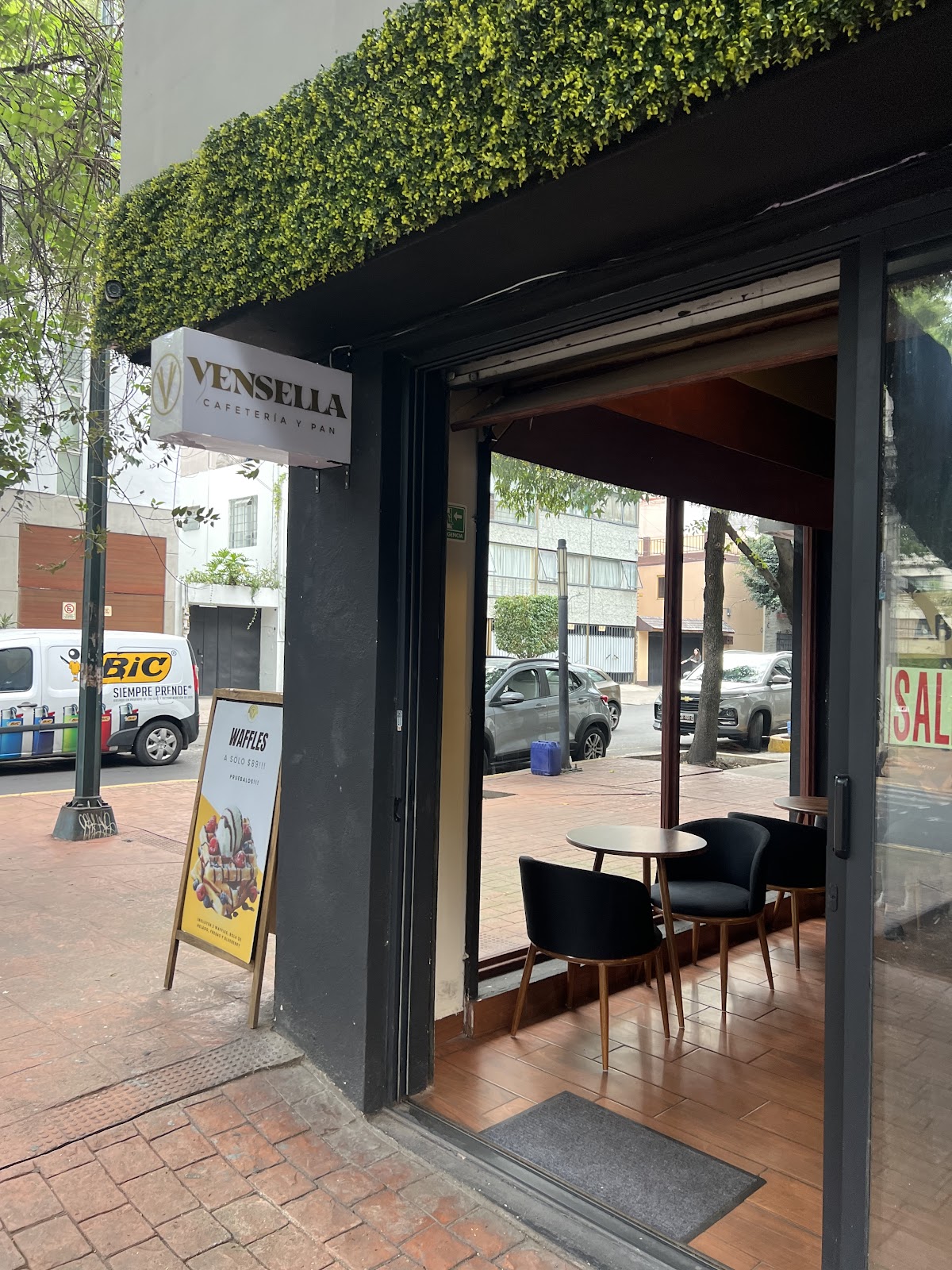 Photo of vensella
