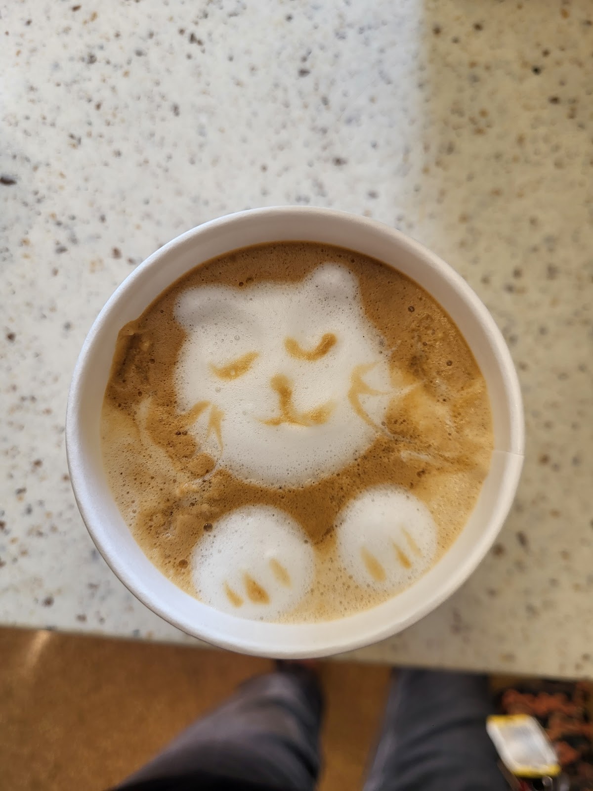 Photo of Happy Cats Coffee