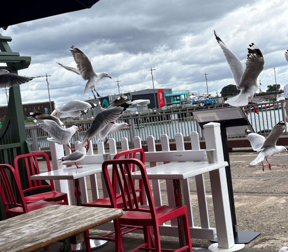 Rushworth Cafe interior