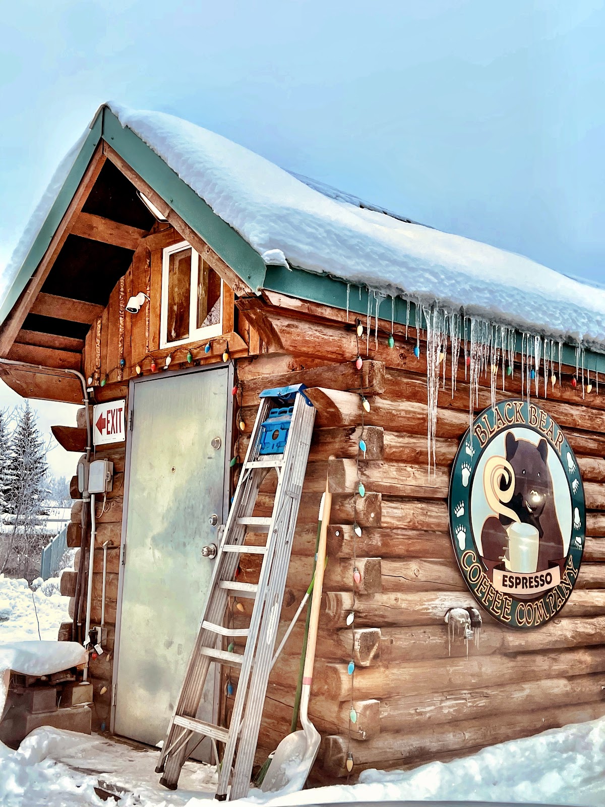 Photo of Denali Dames Coffee