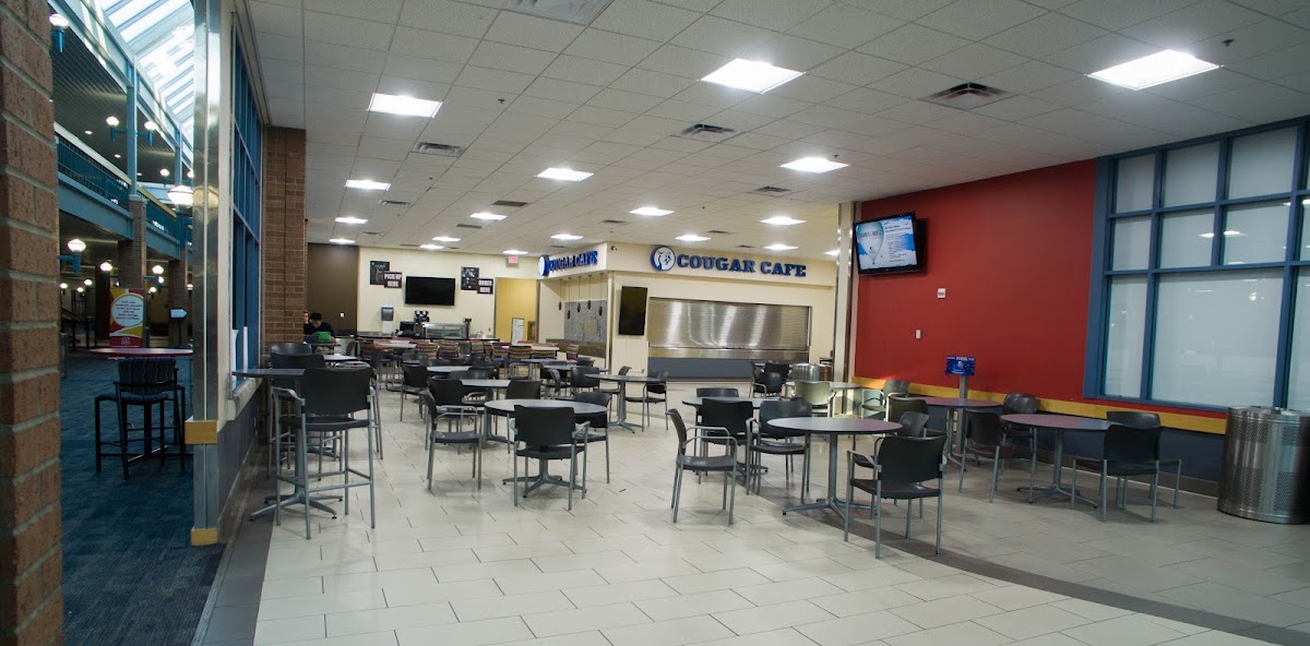 Cougar Cafe interior