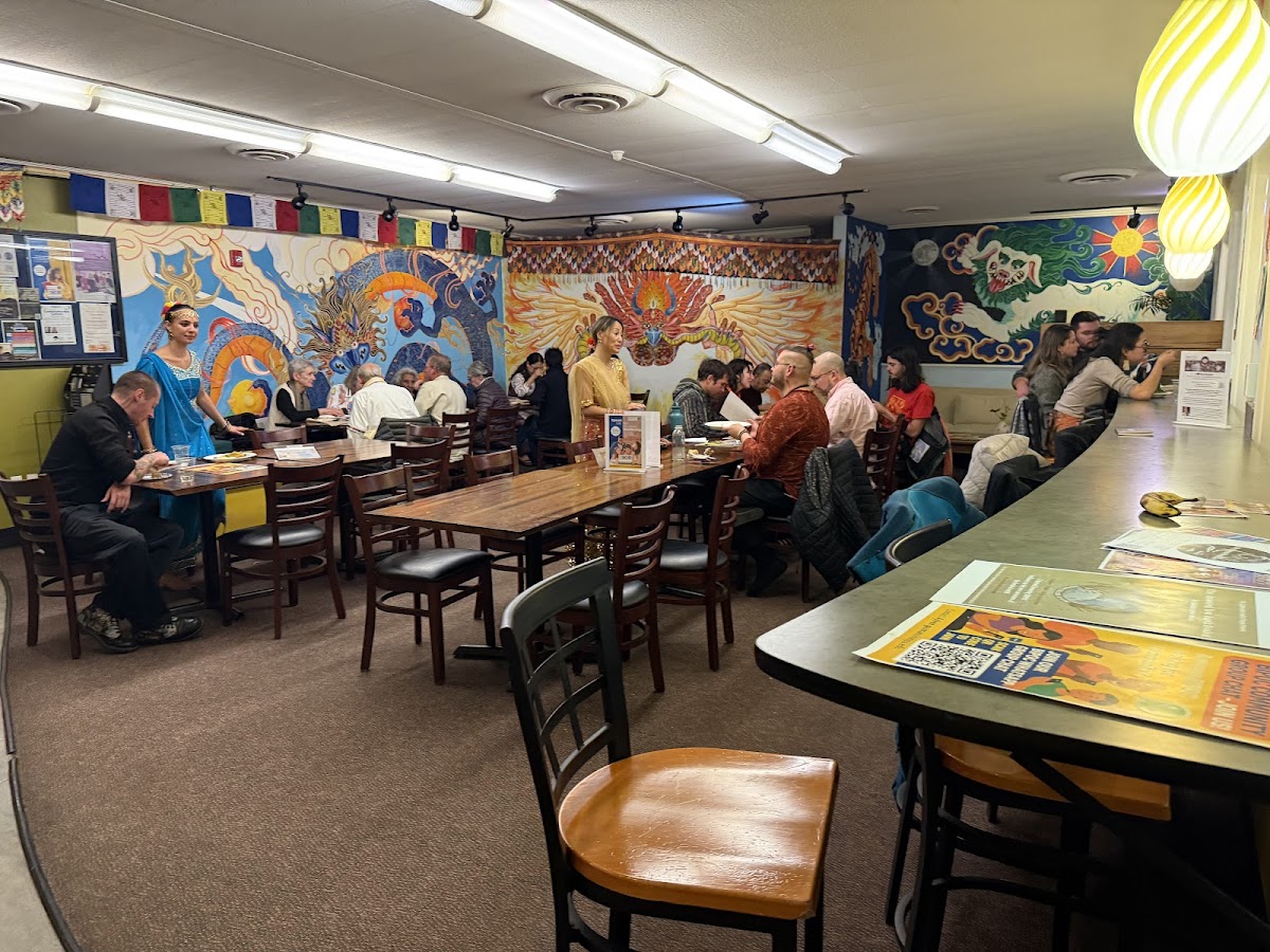 Little Lama Cafe interior