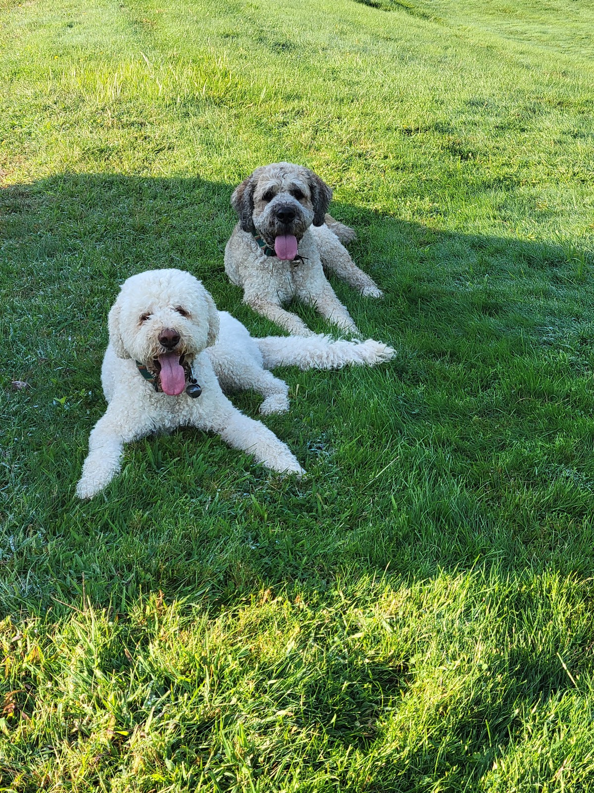 Photo of Oli&Seb_theDoodleDuo