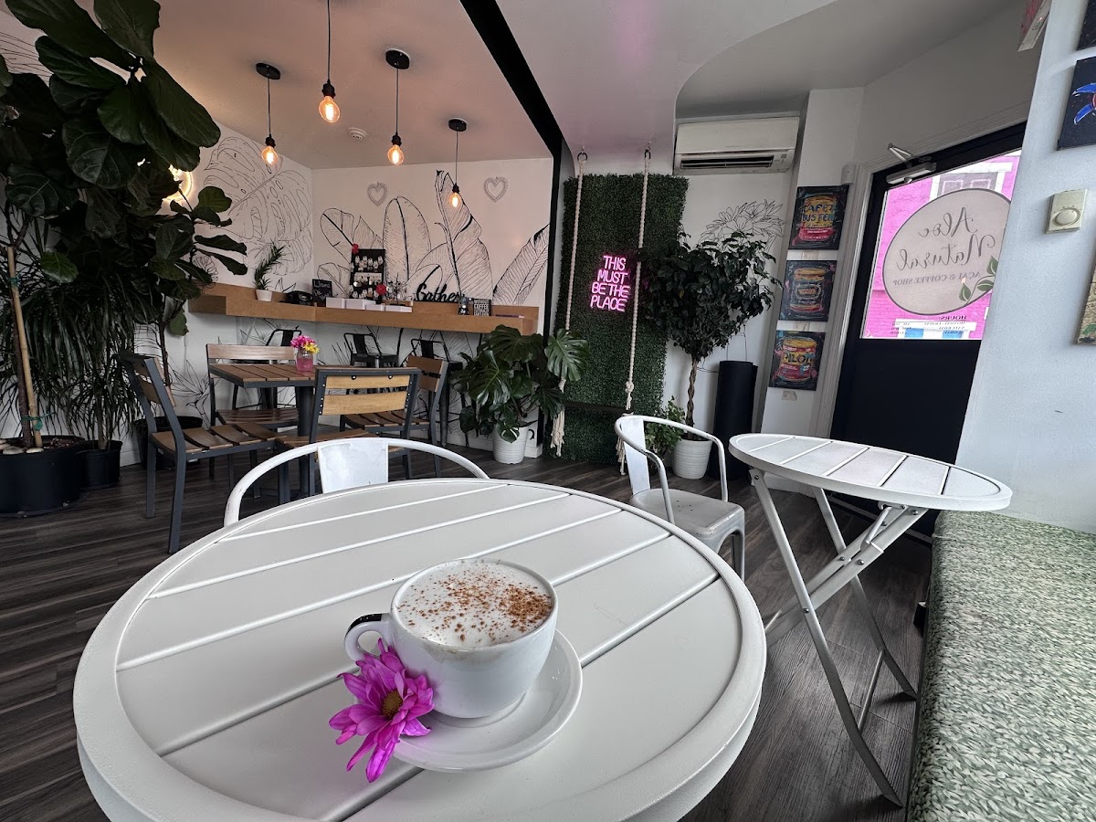 Aloe Natural Acai & Coffee Shop interior