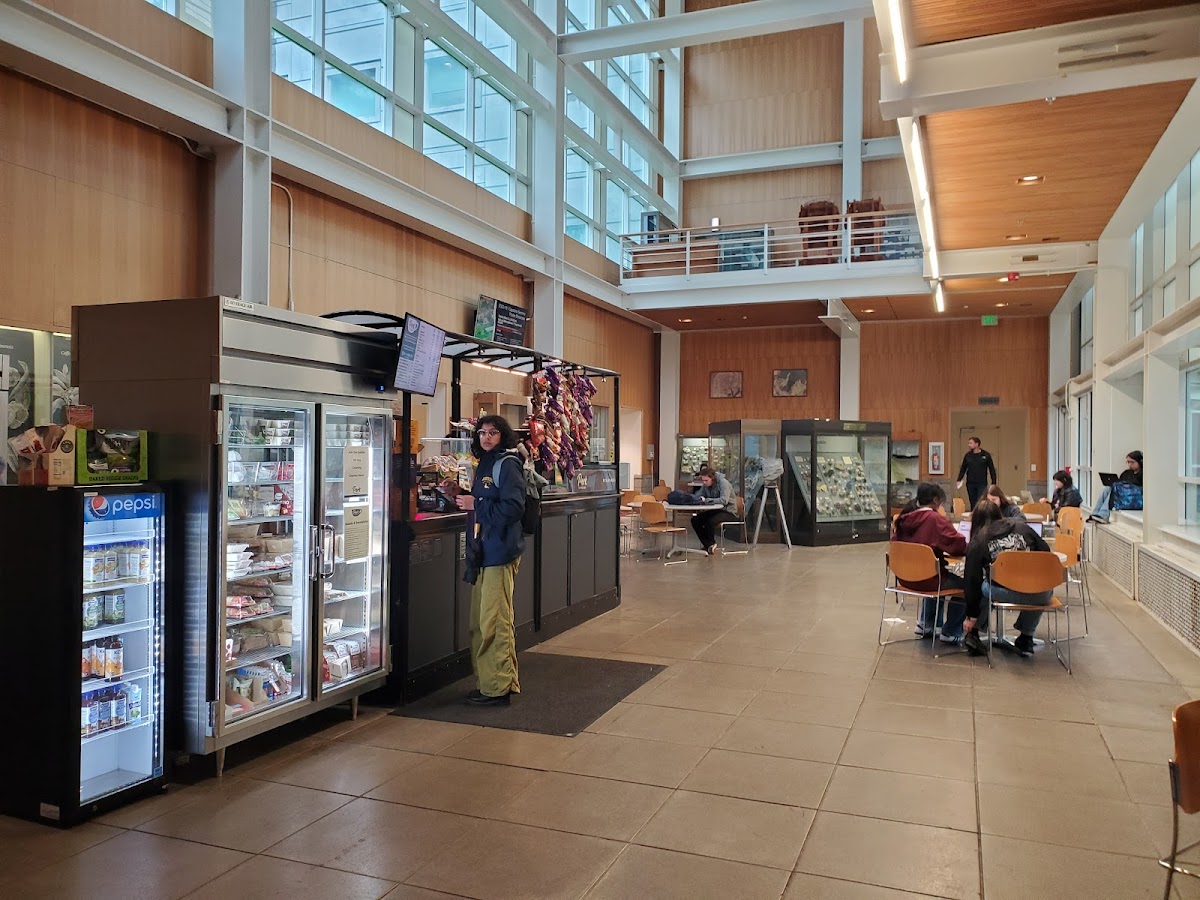 Perk Coffee Bar interior