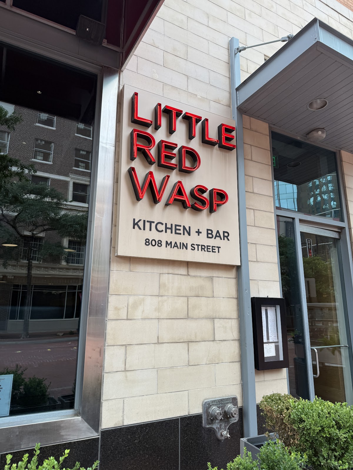 Photo of Little Red Wasp