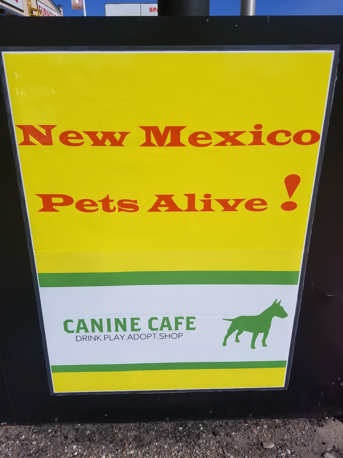 Canine Cafe interior