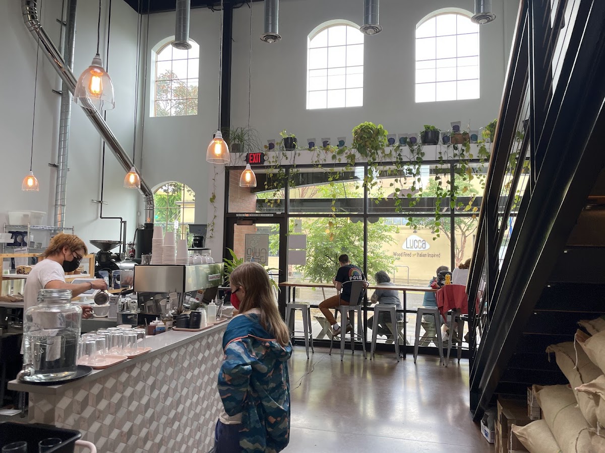 Guilder Coffee Company - Alameda Neighborhood interior